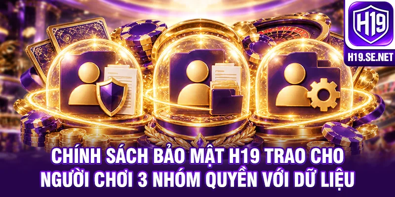 Chính sách bảo mật H19 trao cho người chơi 3 nhóm quyền với dữ liệu