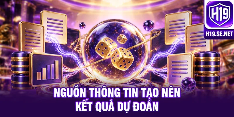 Nguồn thông tin tạo nên kết quả dự đoán