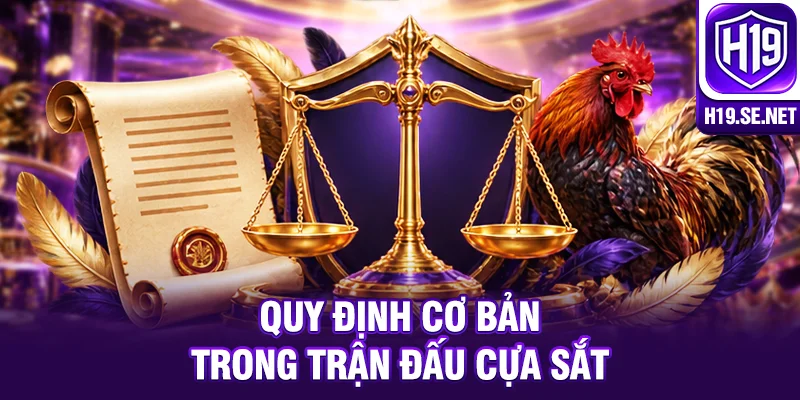 Quy định cơ bản trong trận đấu cựa sắt